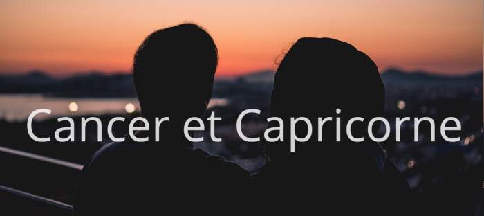 Cancer et Capricorne