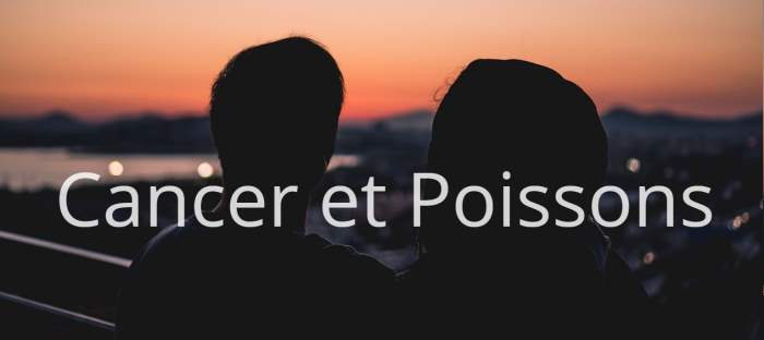 Homme Cancer et Femme Poissons : Compatibilité amoureuse des signes astrologiques