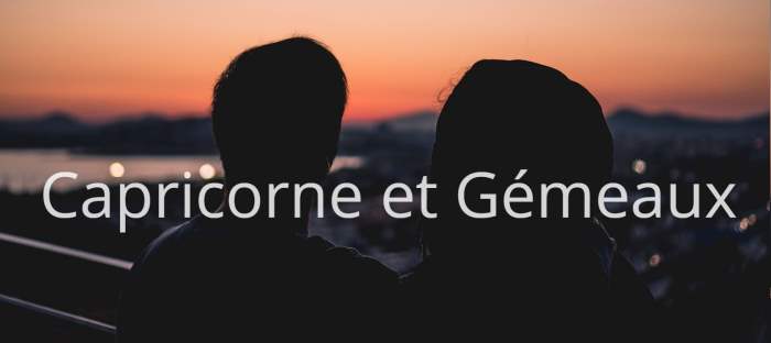 Capricorne et Gemeaux