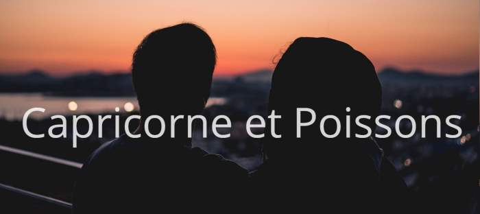 Homme Capricorne et Femme Poissons : Compatibilité amoureuse des signes astrologiques