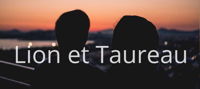 Homme Lion et Femme Taureau : Compatibilité amoureuse des signes astrologiques