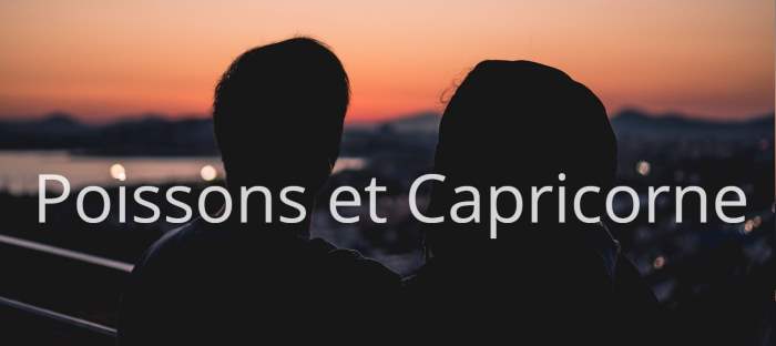 Poissons et Capricorne